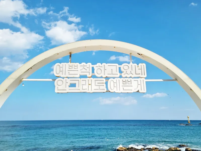 [강원 강릉] 영진해변 바다가득 누리는 파도전망 . 고층 #오션뷰 32