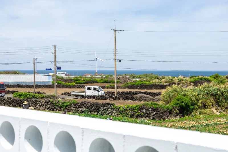 [Hangyeong, Jeju] A quiet accommodation in a rural village 12