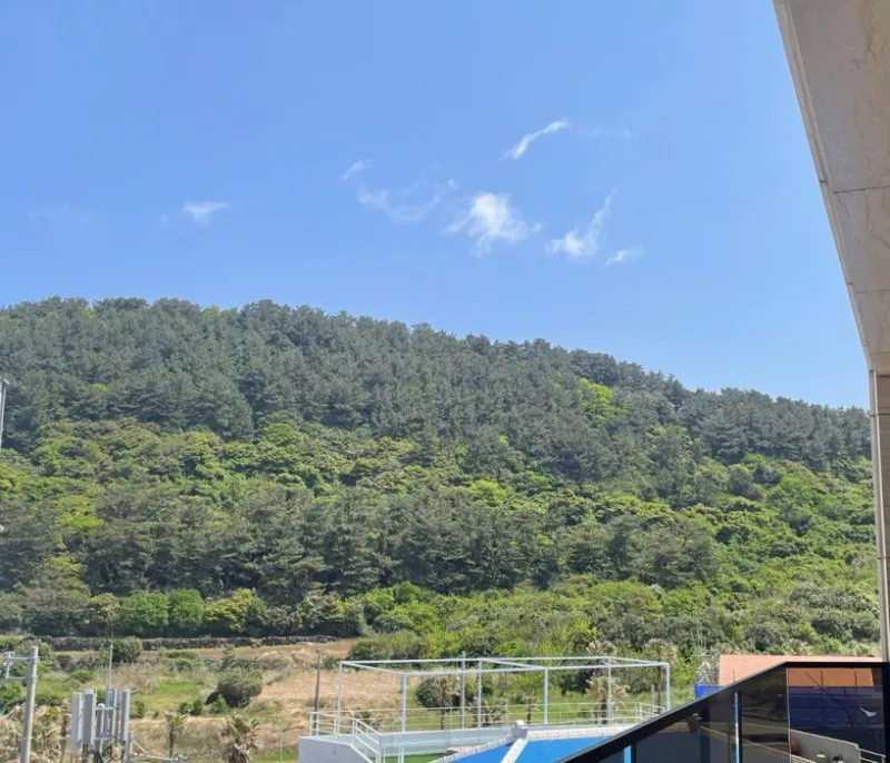 [Jocheon, Jeju][Jeju Hamdeok] Ocean View Room 205, 10 seconds walk from Hamdeok Beach 7