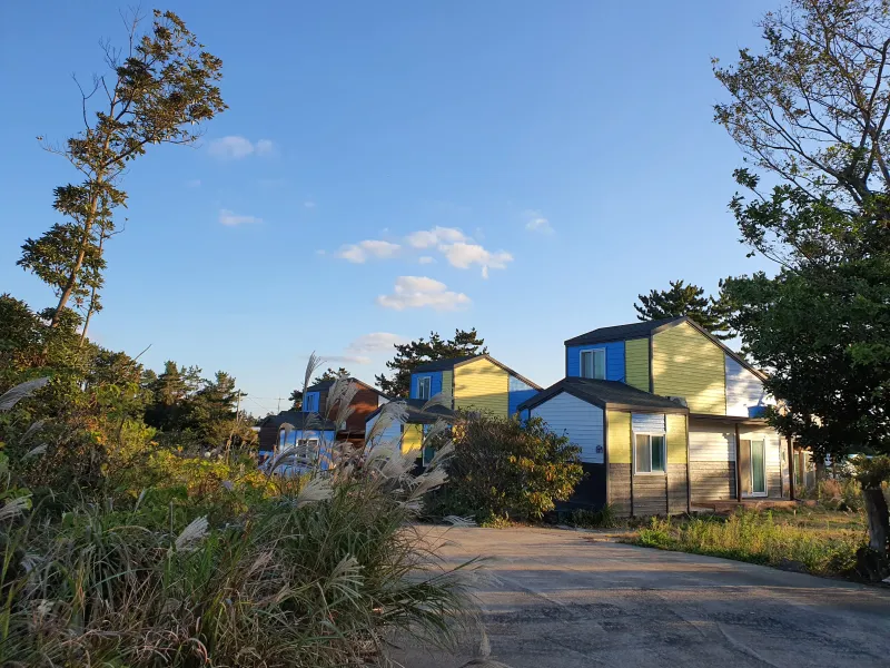 [Seongsan, Seogwipo] Small, private cottage in the Jeju countryside filled with the scent of cypress #DogFriendly 20