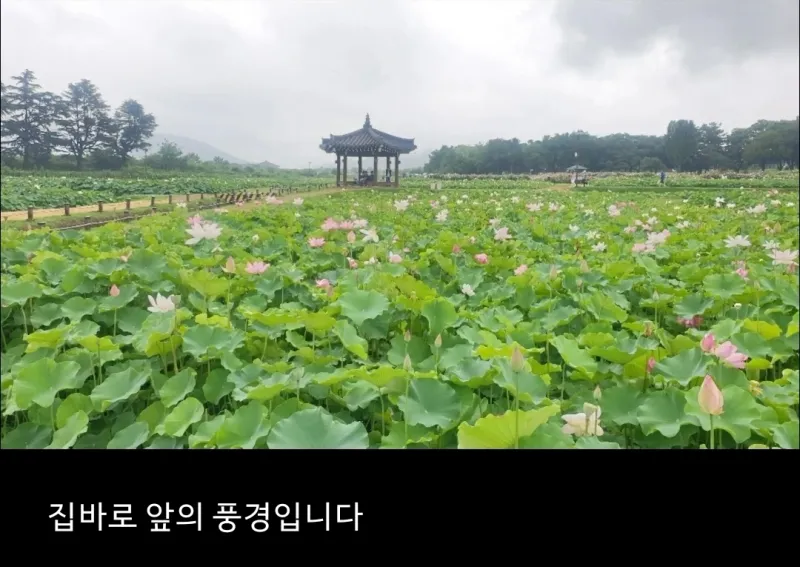 [Gyeongju][Gyeongju, Gyeongsangbuk-do] Cheomseongdae Starlight 34