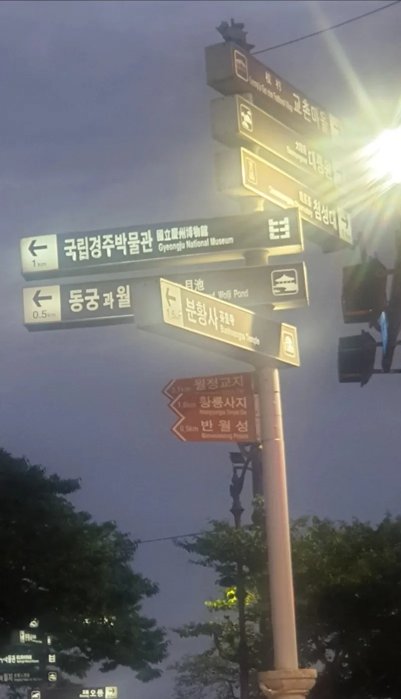 [Gyeongju][Gyeongju, Gyeongsangbuk-do] Cheomseongdae Starlight 35