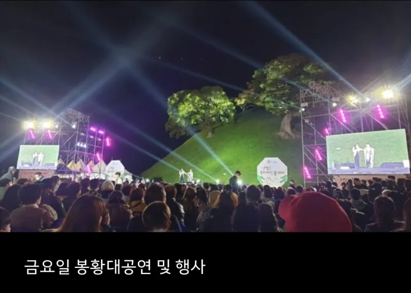 [Gyeongju][Gyeongju, Gyeongsangbuk-do] Cheomseongdae Starlight 37