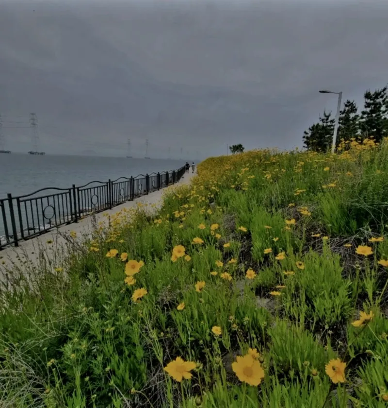 [Ansan][Ansan Bandal Island] High-rise Ocean View Two-Room Fully Furnished Queen Bed 2 Netflix Nearby Amenities Sihwa 34