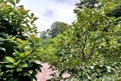 [Seongbuk, Seoul] 8-Pyeong Studio Apartment in Jeongneung, Starting from Bukhansan National Park, Fully Furnished, 2nd Floor, Sunlight and Birdsong 11