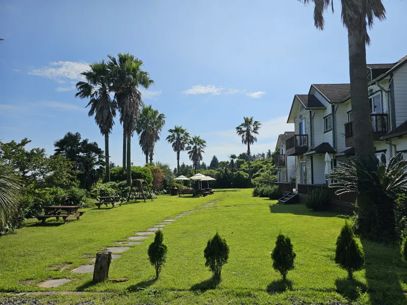 [Namwon, Seogwipo] Seogwipo Exotic Garden and Spacious Studio #Pets Allowed 19