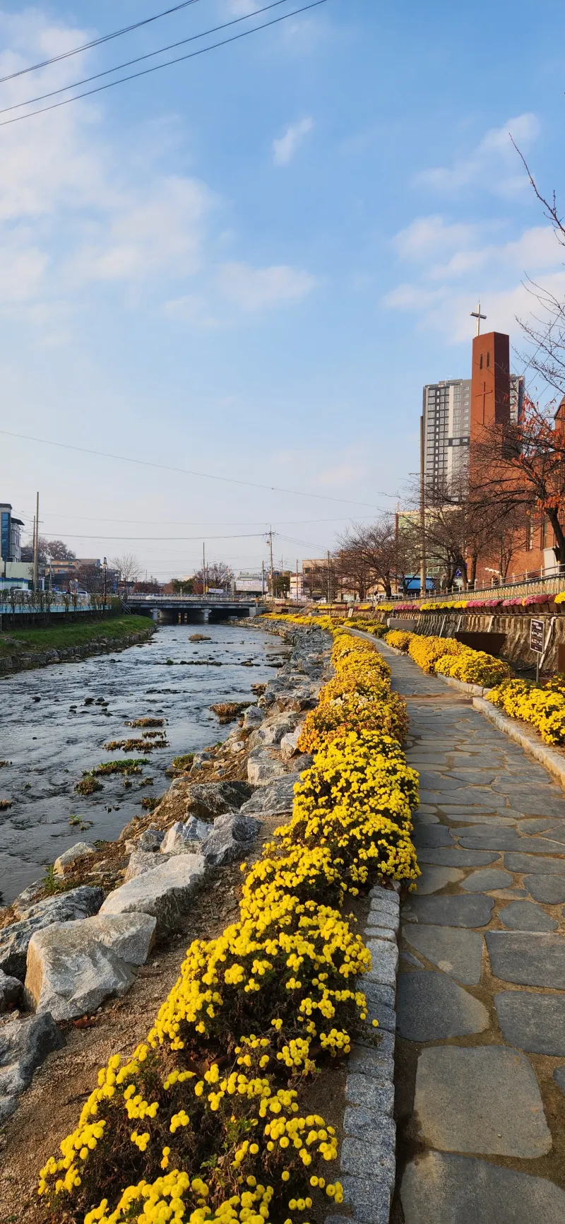 [Chungju][Chungju, North Chungcheong Province] A two-story duplex studio apartment with a touch of elegance #ValueForMoney 29
