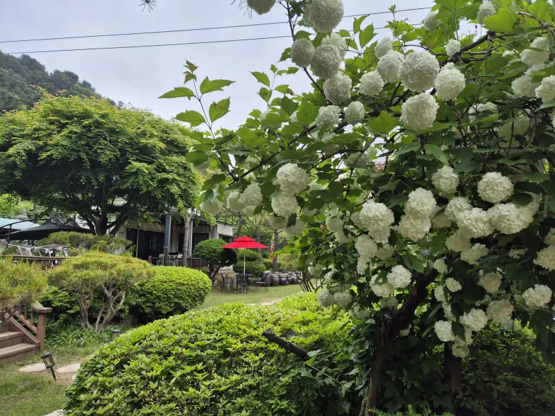 [Yangpyeong] A private villa in Bulmong, a great restaurant for stargazing in the night sky of Eobi Valley. 22