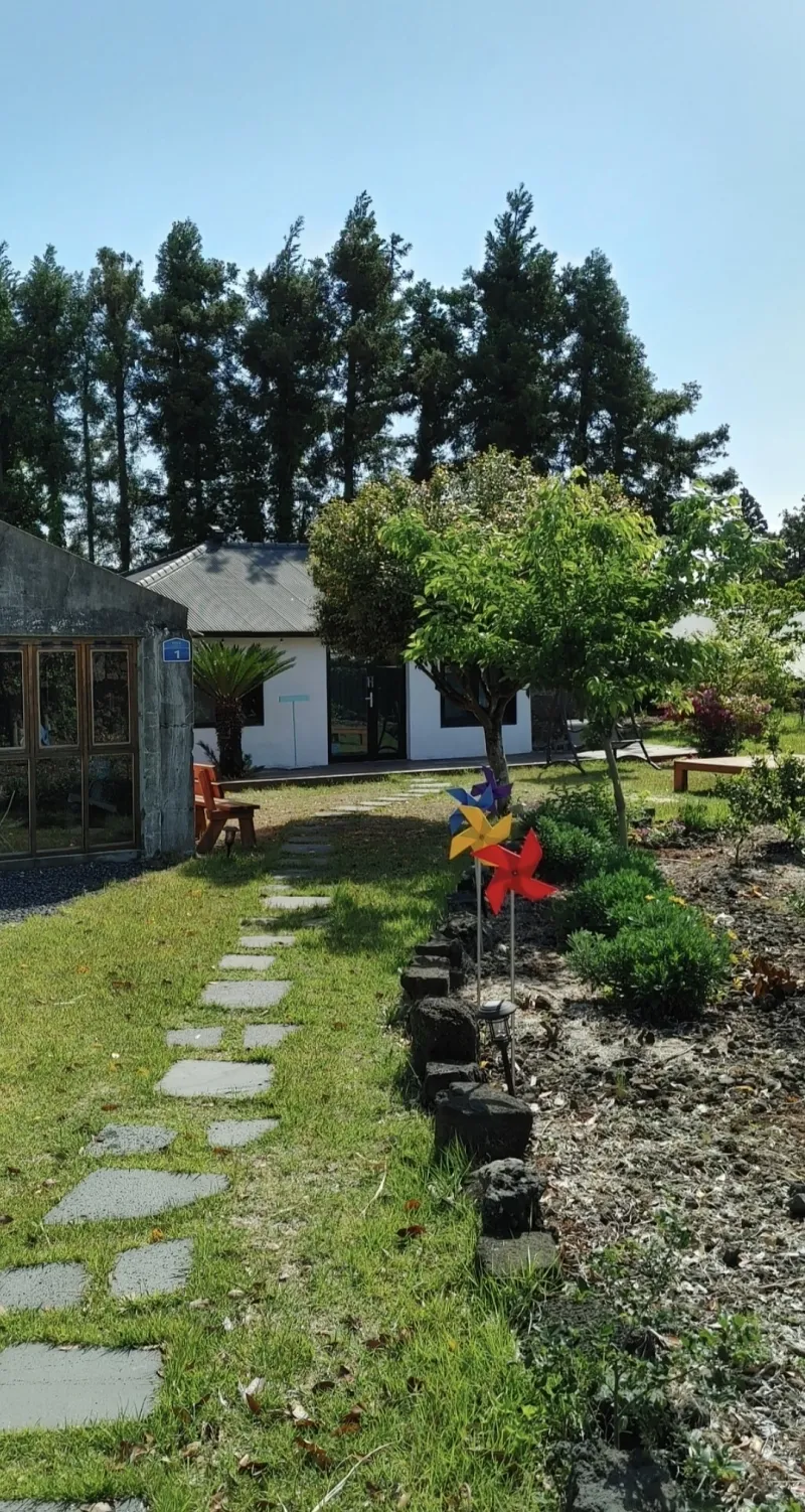 [Jocheon, Jeju] A detached house with a tangerine orchard and a yard perfect for living with children. 26