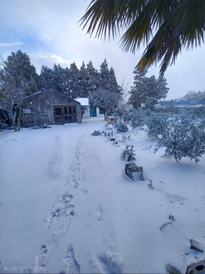 [Jocheon, Jeju] A detached house with a tangerine orchard and a yard perfect for living with children. 29