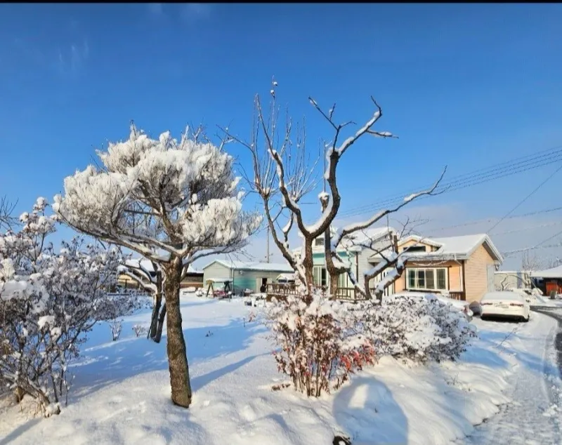 [Nonsan][Nonsan, South Chungcheong Province] #RuralLiving: A detached house with a spacious yard, terrace, and living room. 25