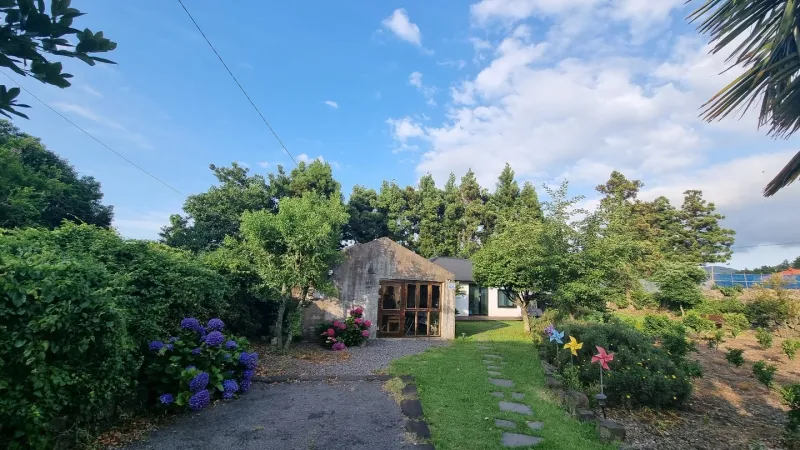 [Jocheon, Jeju] A detached house with a tangerine orchard and a yard perfect for living with children. 56