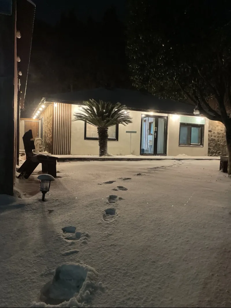 [Jocheon, Jeju] A detached house with a tangerine orchard and a yard perfect for living with children. 31