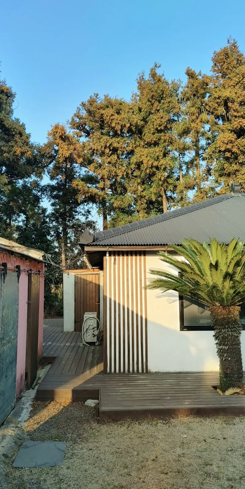 [Jocheon, Jeju] A detached house with a tangerine orchard and a yard perfect for living with children. 24