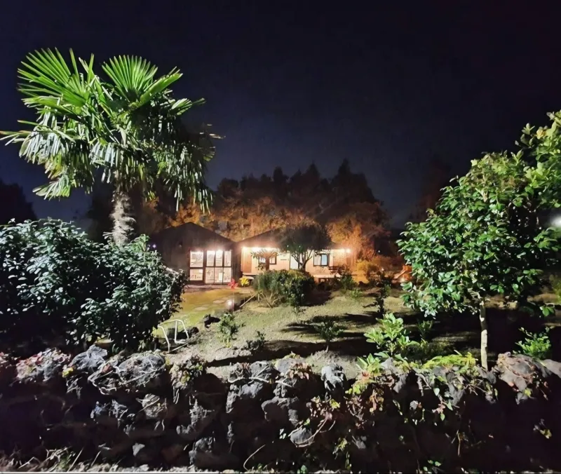 [Jocheon, Jeju] A detached house with a tangerine orchard and a yard perfect for living with children. 20