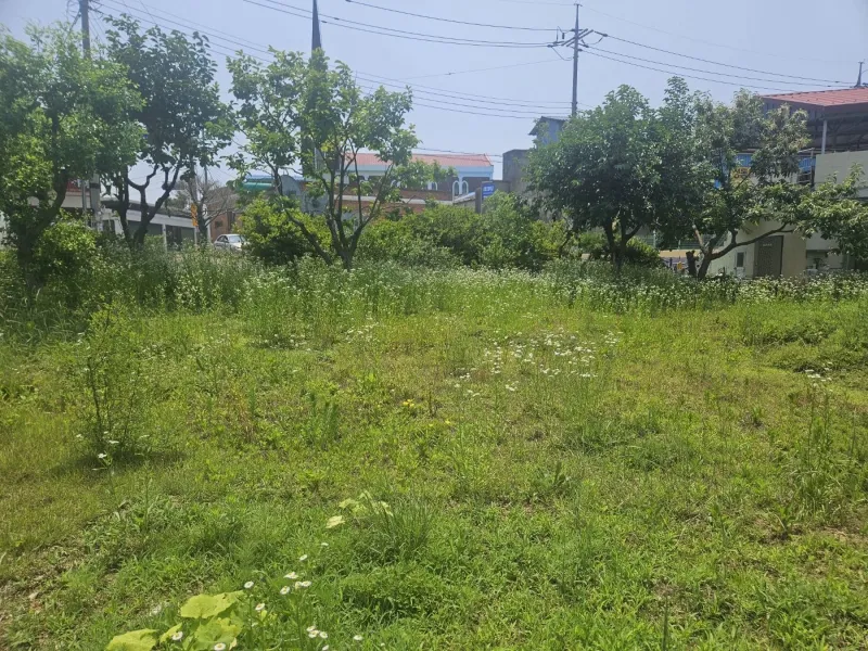 [Nonsan][Nonsan, South Chungcheong Province] #RuralLiving: A detached house with a spacious yard, terrace, and living room. 21