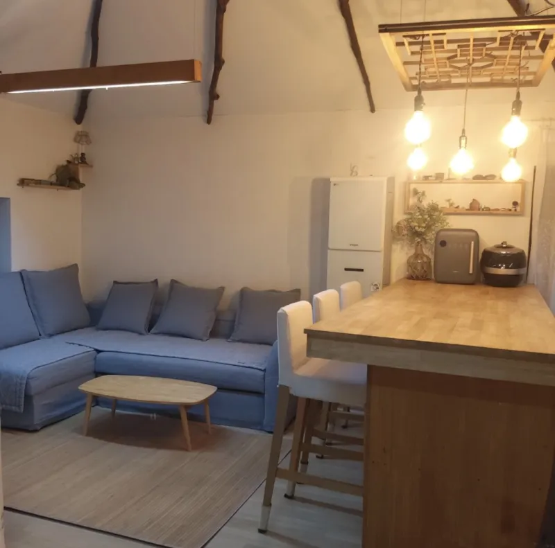 [Jocheon, Jeju] A detached house with a tangerine orchard and a yard perfect for living with children. 13