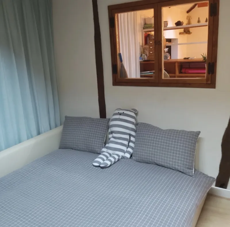 [Jocheon, Jeju] A detached house with a tangerine orchard and a yard perfect for living with children. 5