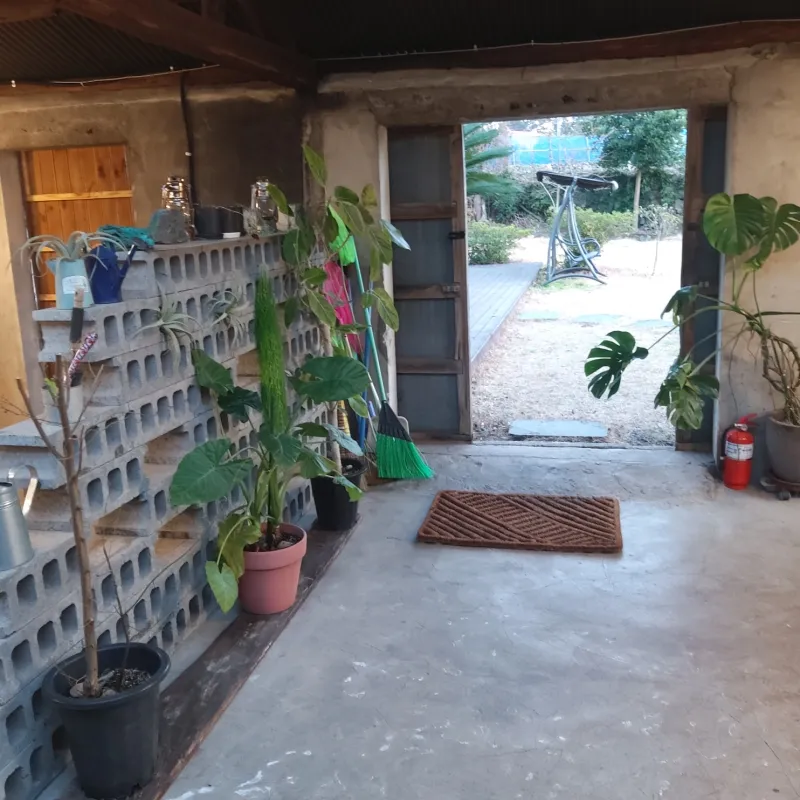 [Jocheon, Jeju] A detached house with a tangerine orchard and a yard perfect for living with children. 44