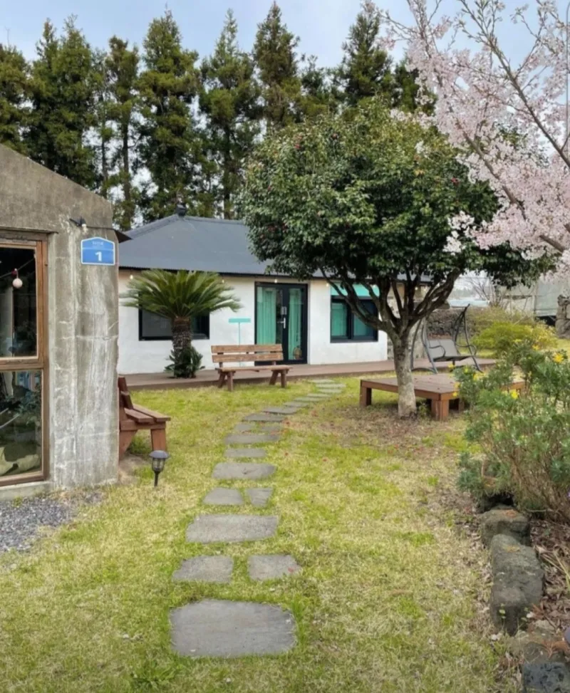 [Jocheon, Jeju] A detached house with a tangerine orchard and a yard perfect for living with children. 22