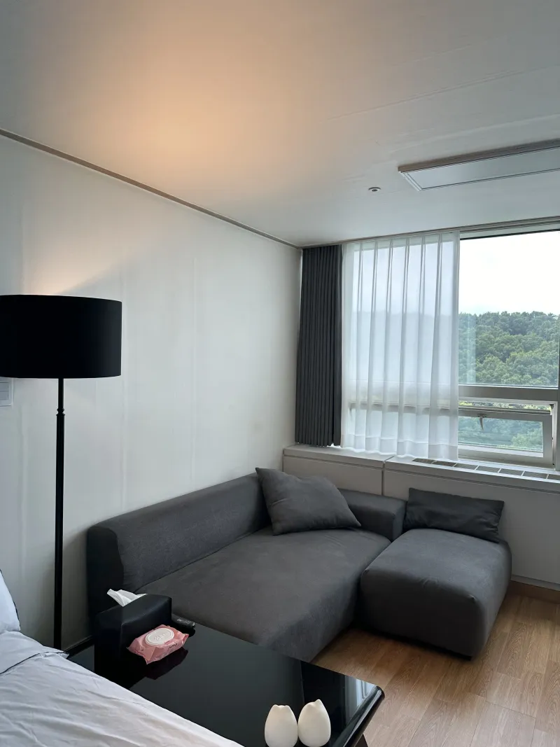 [Gangnam, Seoul] Black Room 1 Minute from Suseo Station #Daemosan View #High Floor #Pets Allowed 8