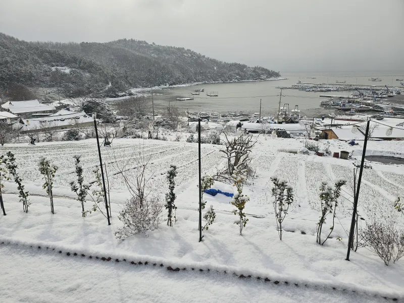 [Haenam] A 30-pyeong Netflix villa for one team, undisturbed. 57