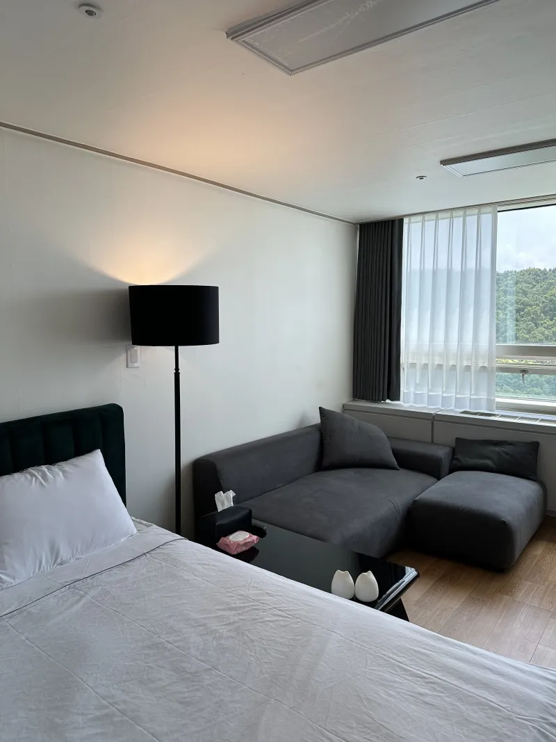 [Gangnam, Seoul] Black Room 1 Minute from Suseo Station #Daemosan View #High Floor #Pets Allowed 3