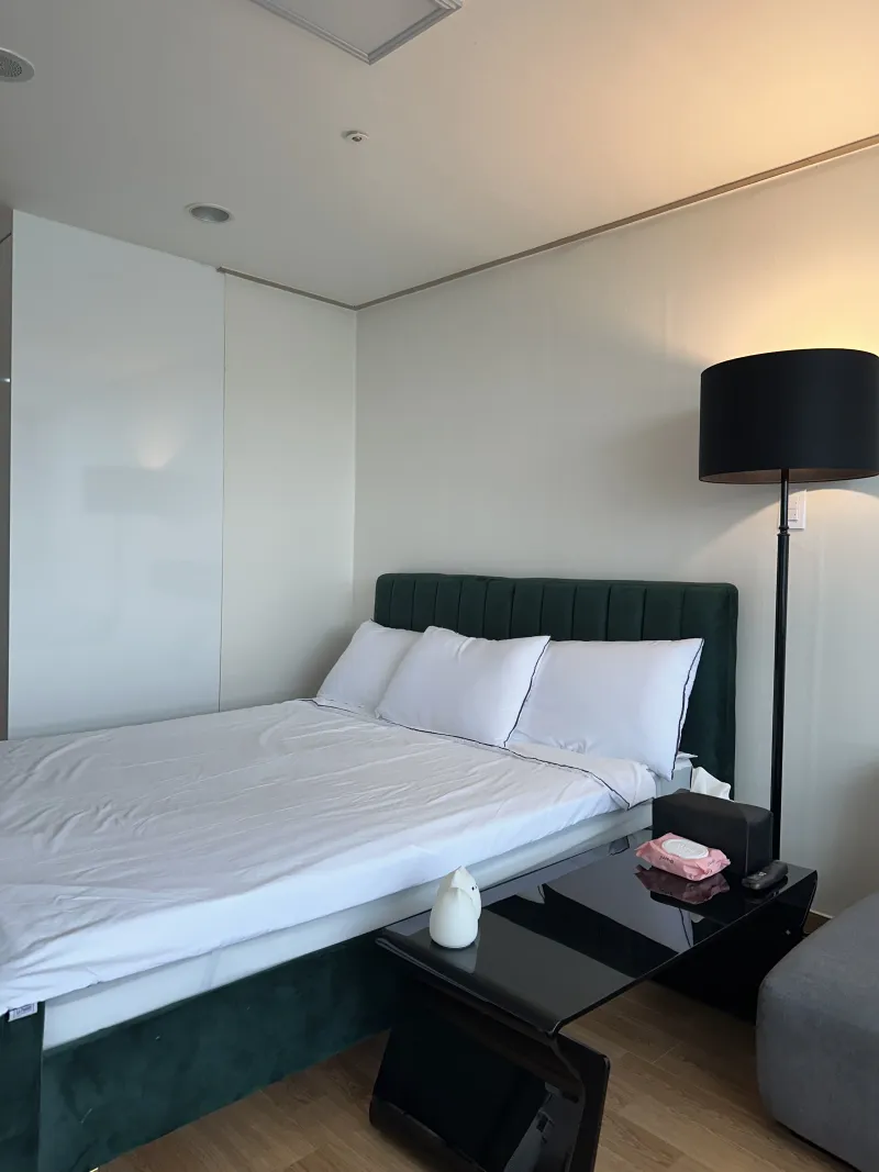 [Gangnam, Seoul] Black Room 1 Minute from Suseo Station #Daemosan View #High Floor #Pets Allowed 7
