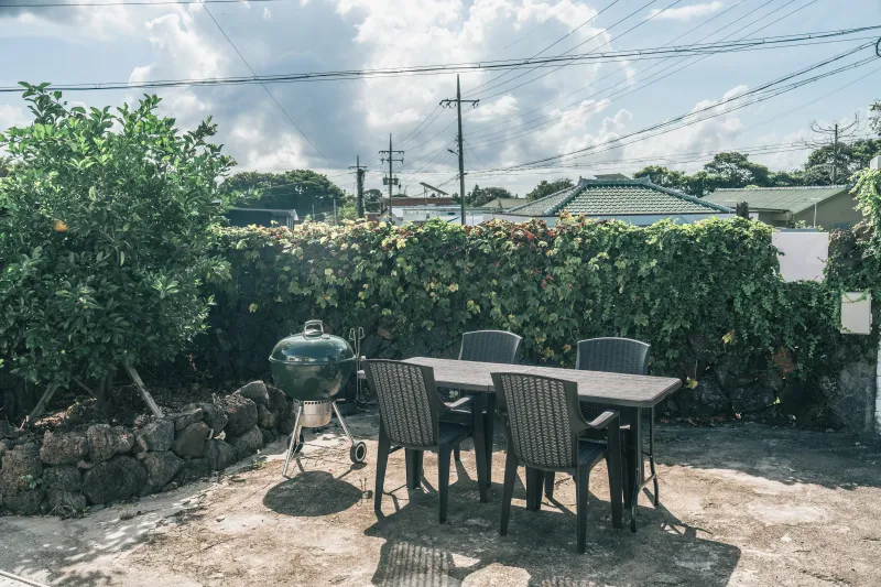 [Seongsan, Seogwipo] A detached house with a green vine wall at the end of the village overlooking Sinpung-ri. 19
