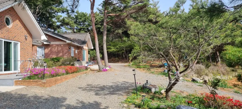 [Taean][Taean, South Chungcheong Province] A 37-pyeong detached house in a pine forest in Wonbuk-myeon 13