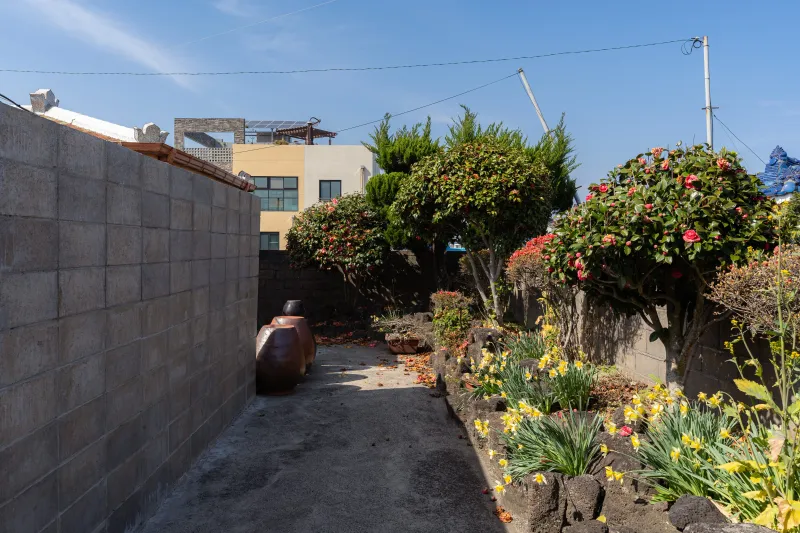 [Jocheon, Jeju] A single-story house owned by an old female diver in a quiet port in Bukchon 27