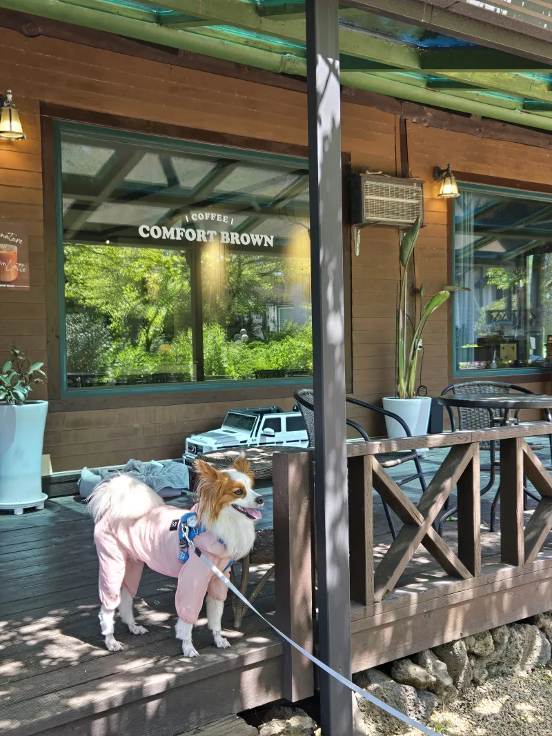 [Gujwa, Jeju][Jeju Sehwa] Spacious garden with outdoor seating / Separate bedroom E #Pets allowed 26