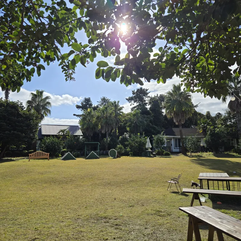 [Gujwa, Jeju][Jeju Sehwa] Spacious garden with separate bedroom, C #Pets allowed 24