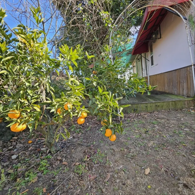 [Aewol, Jeju] Townhouse duplex 26