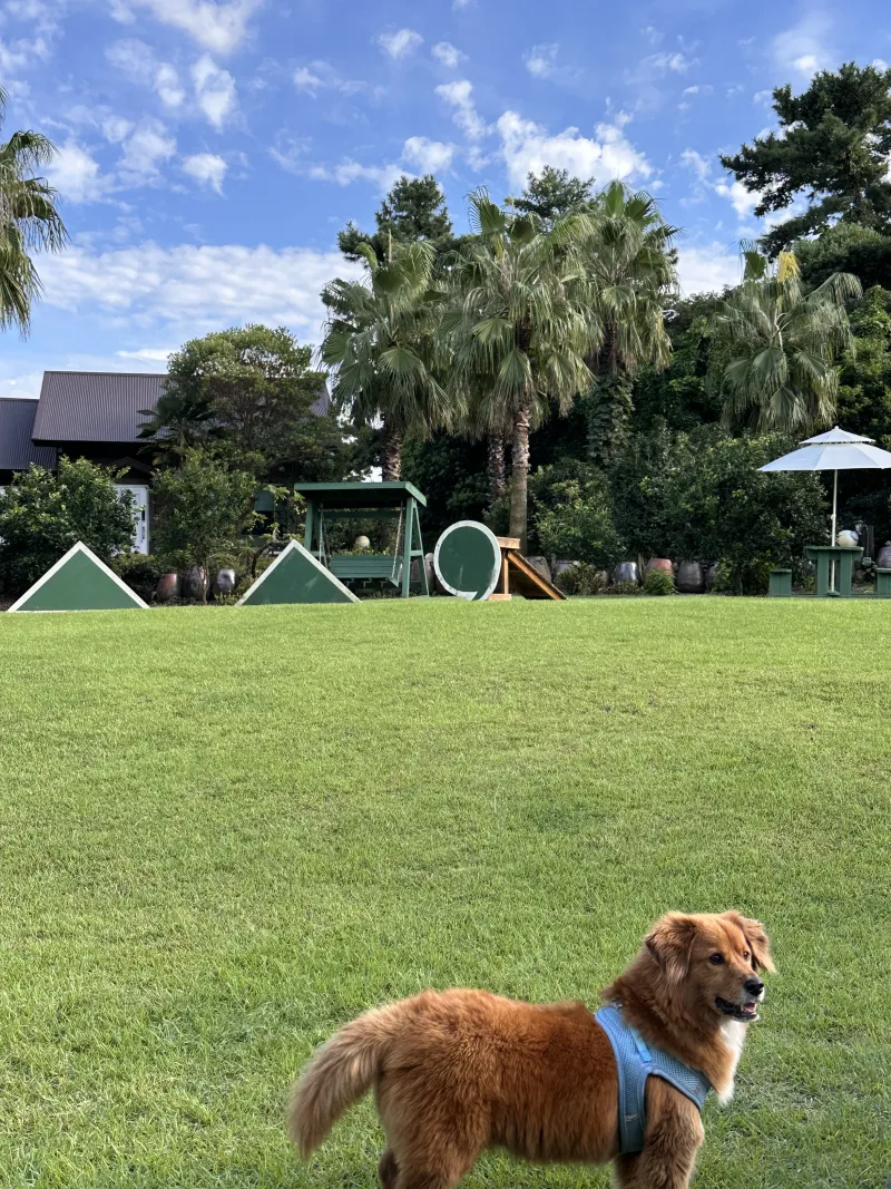 [Gujwa, Jeju][Jeju Sehwa] Spacious garden with outdoor seating / Separate bedroom E #Pets allowed 15