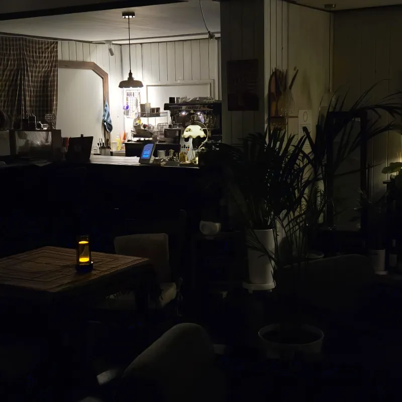 [Gujwa, Jeju][Jeju Sehwa] Spacious Garden with Private Bedroom B #Pets Allowed 25