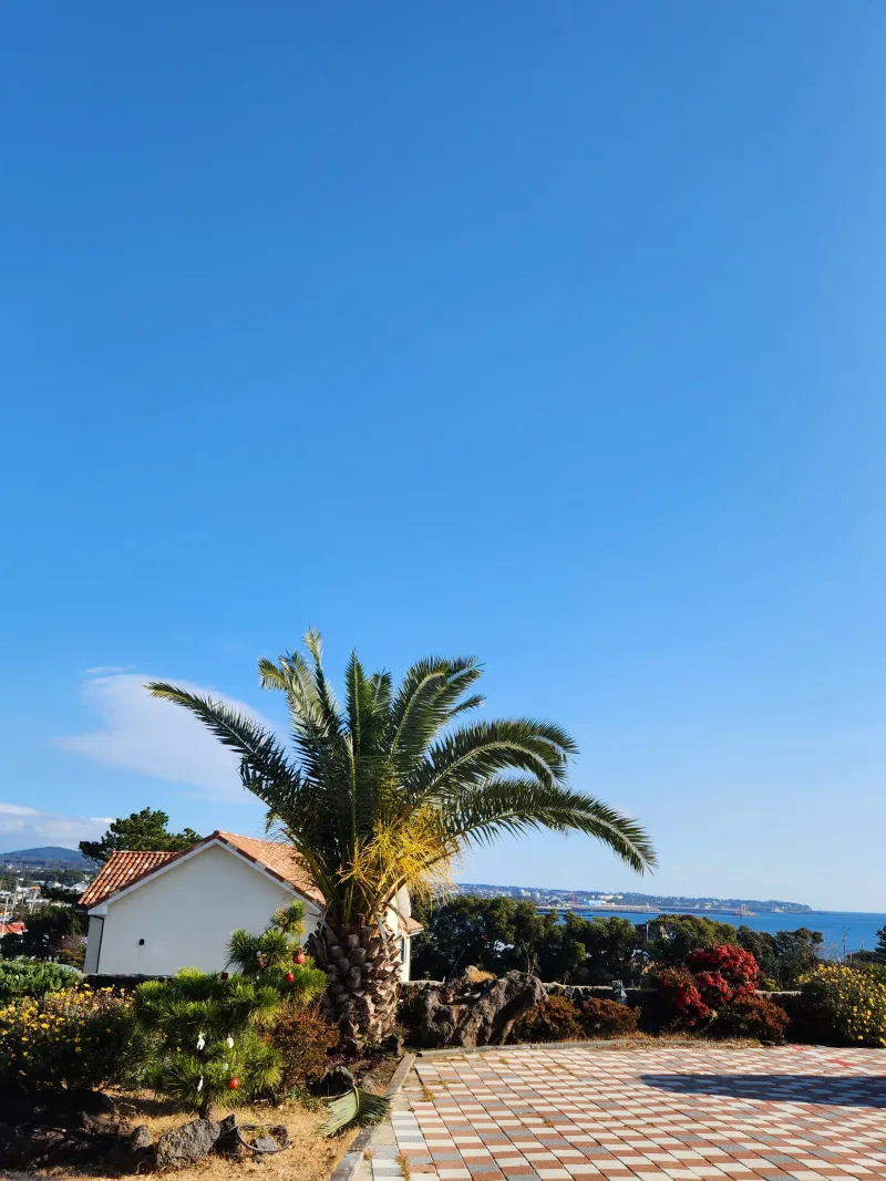 [Namwon, Seogwipo] Ocean View Two Room Cypress Tree Geomunoreum A 7