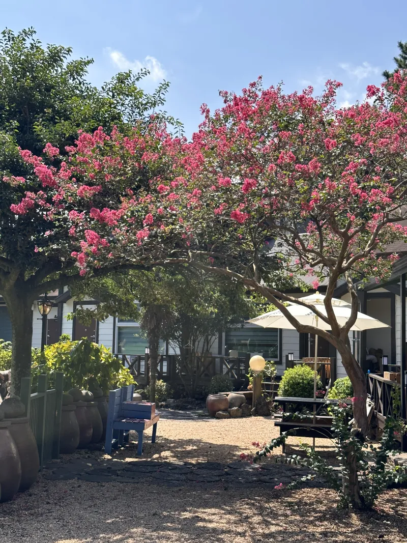 [Gujwa, Jeju][Jeju Sehwa] Spacious garden with outdoor seating / Separate bedroom F #Pets allowed 29