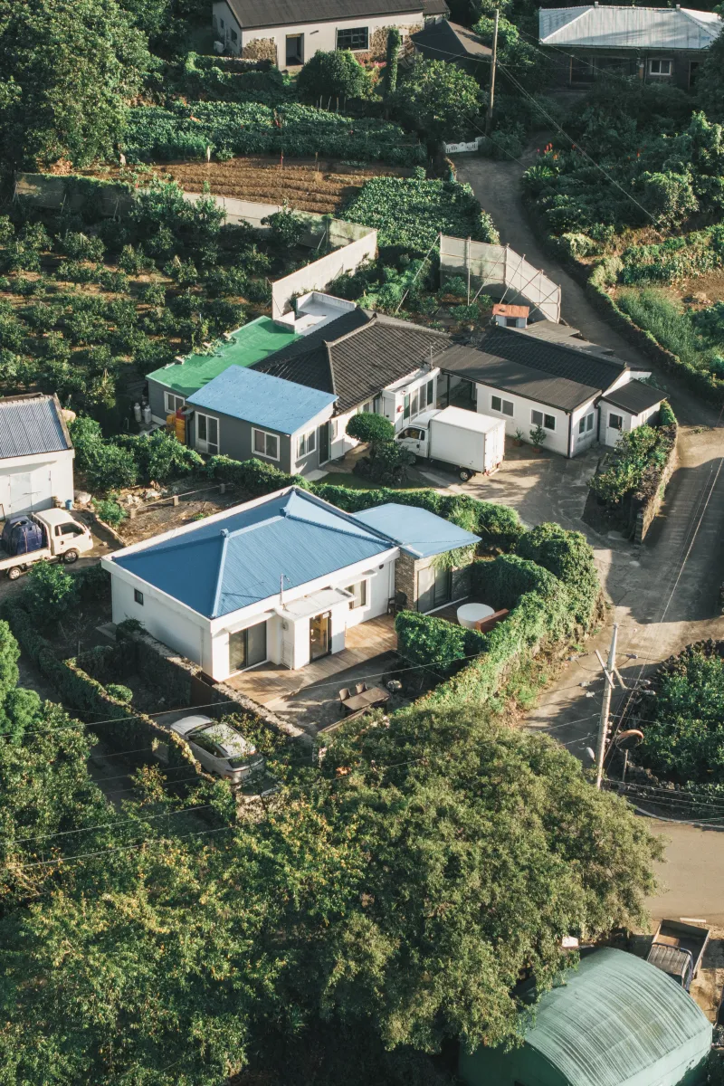 [Seongsan, Seogwipo] A detached house with a green vine wall at the end of the village overlooking Sinpung-ri. 25