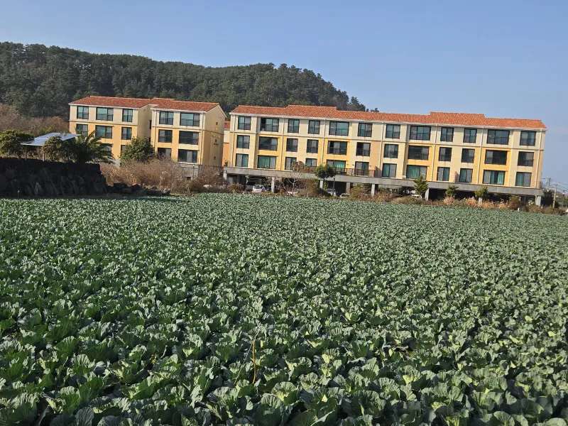 [Aewol, Jeju] Luxury two-room with a spacious terrace (2 bathrooms/powder room/dressing room) 17