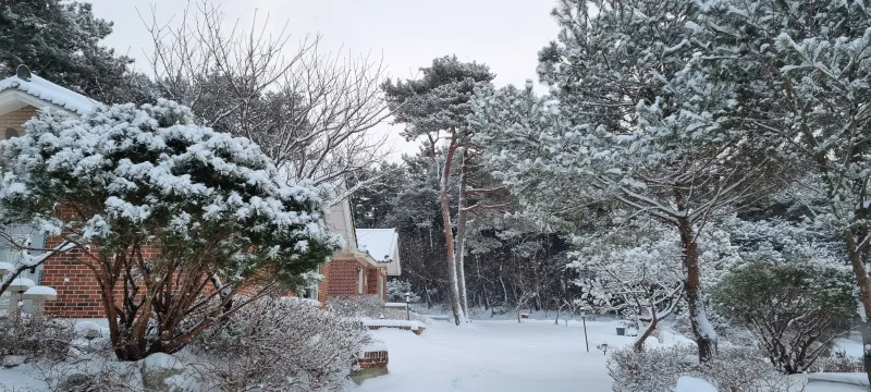 [Taean][Taean, South Chungcheong Province] A 37-pyeong detached house in a pine forest in Wonbuk-myeon 14
