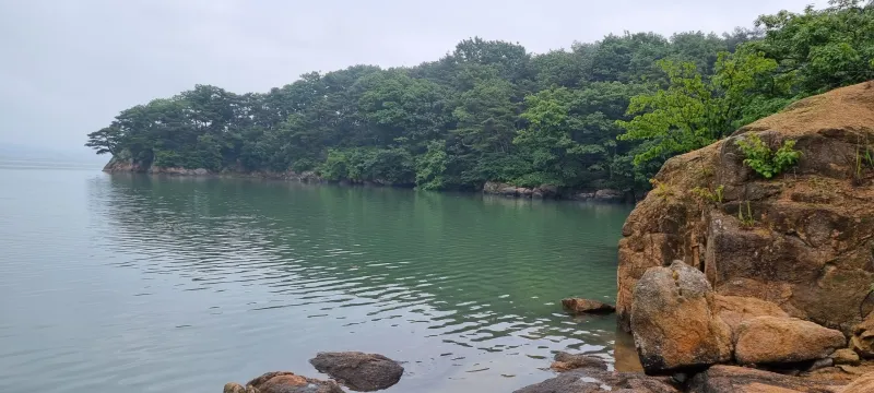 [Taean][Taean, South Chungcheong Province] A 37-pyeong detached house in a pine forest in Wonbuk-myeon 16