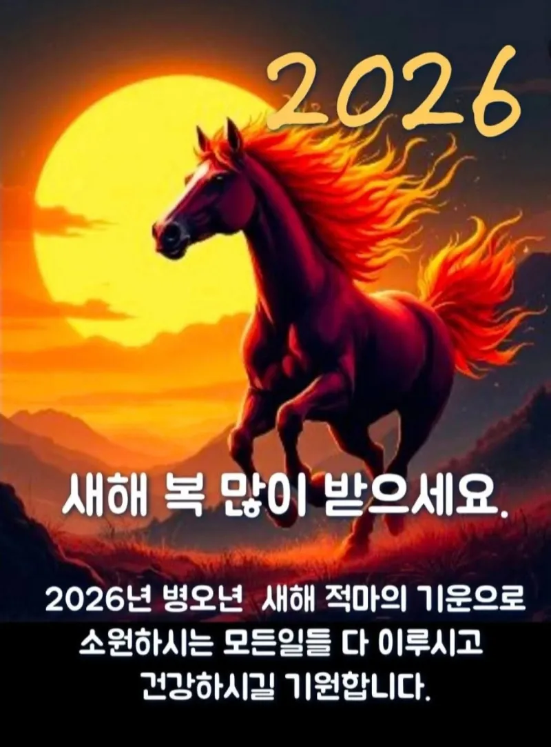 [전남 여수] 대형티비 돌산 바다뷰7층  롯데마트 5분  게장거리 10분 16