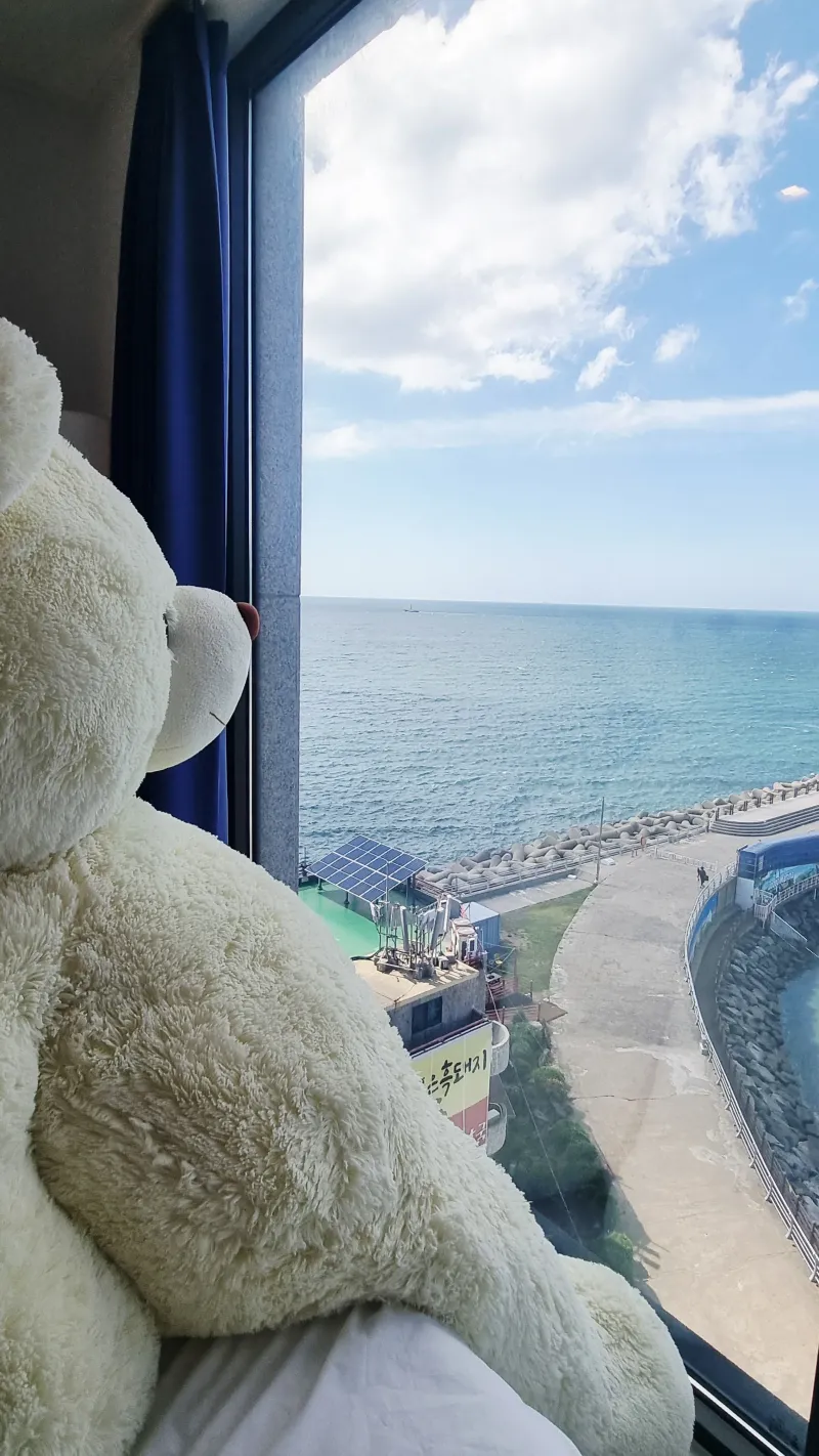 [제주 도두일동] 바다뷰 & 힐링 & 쉼이 있는 공간 4