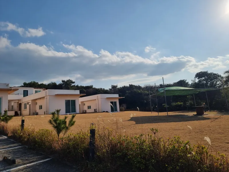 [제주 구좌] 비자림산책로 복층원룸 독채 #비자림도보2분 #재택근무A12 19