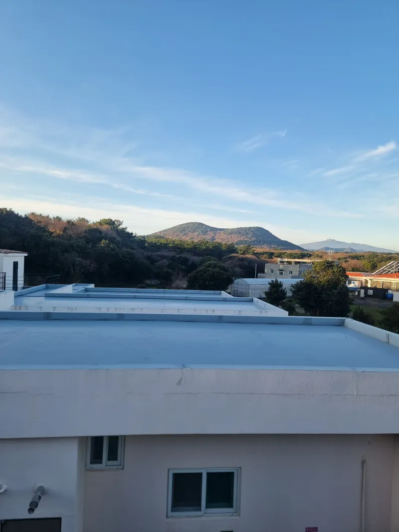 [제주 구좌] 제주 구좌]비자림산책로 1.5룸 독채 #비자림도보2분 #재택근무가능C23 9