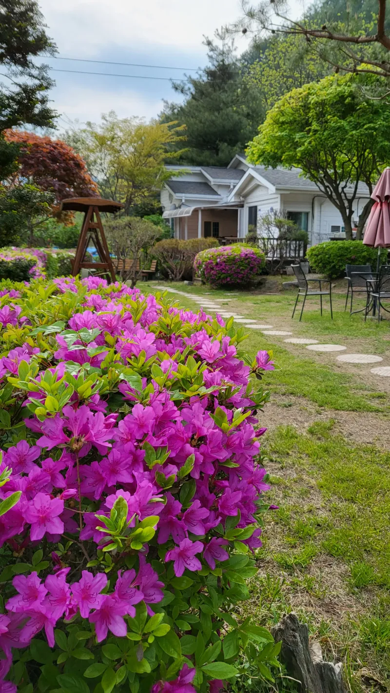 [Yangpyeong] A private villa in Bulmong, a great restaurant for stargazing in the night sky of Eobi Valley. 23