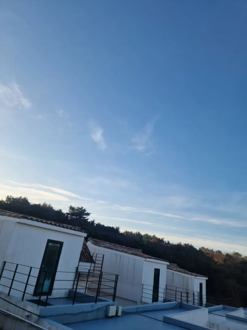 [제주 구좌] 제주 구좌]비자림산책로 1.5룸 독채 #비자림도보2분 #재택근무가능C23 10