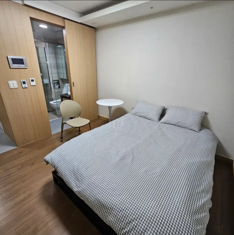 [Gangseo, Seoul] Magoknaru Station Lux500N 2