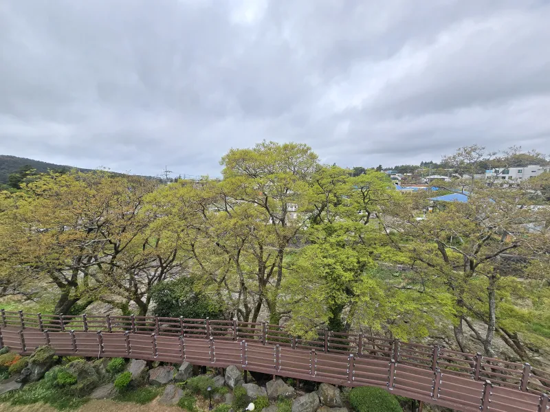 [Sangye-dong, Seogwipo][Hangnamu View]/Legitimate Accommodation/Utility Insurance/Towels and Bedding Provided/ 24